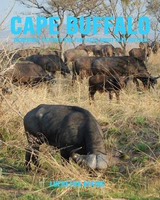 Cape Buffalo: Incredible Pictures and Fun Facts about Cape Buffalo
