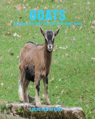 Goats: Incredible Pictures and Fun Facts about Goats