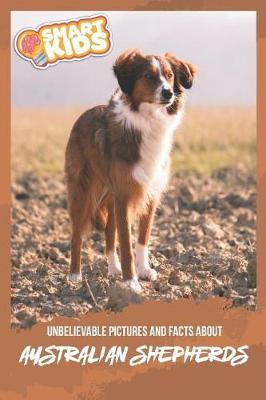 Unbelievable Pictures and Facts About Australian Shepherd