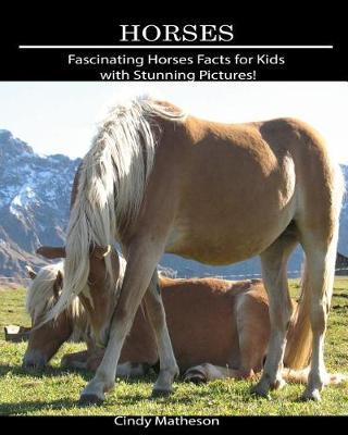 Horses: Fascinating Horses Facts for Kids with Stunning Pictures!