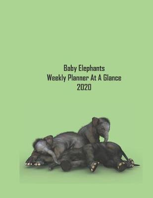 Baby Elephants Weekly Planner at a Glance 2019-2020: Gorgeous baby elephants on the cover and formatted at a glance biweekly diary inside for ease of use and day to day planning and organizing. Great gift.