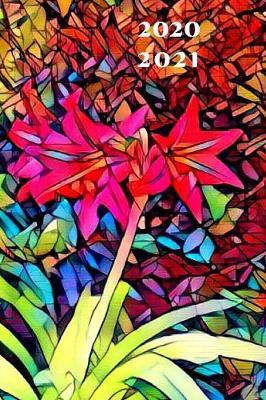 25 Month Weekly Planer Dated Calendar 2 years plus December: To-Do Lists, Tasks, Notes or Appointments. Purse Size at-A-Glance Schedule Notebook