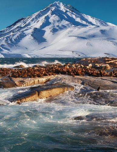 Notebook: Landscape Seals Mountain Snow Antarctica Arctic Sea 8.5  x 11  150 Ruled Pages