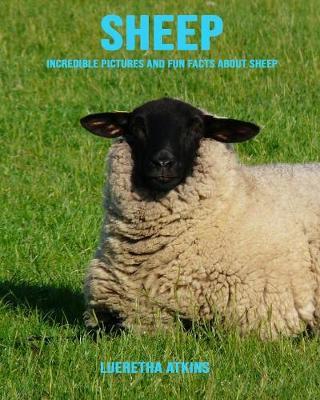 Sheep: Incredible Pictures and Fun Facts about Sheep