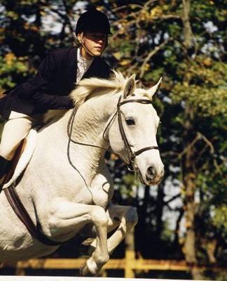 Horse Photo School Composition Book Equine White Hunter Taking Jump: Horse Photo Equine Covers Composition Books Notebooks (Notebook, Diary, Blank Book)