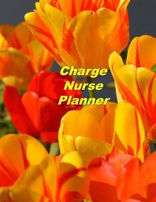 Charge Nurse Planner: An Expanded Monthly, Weekly, Daily, Organizer For The Busy Nurse