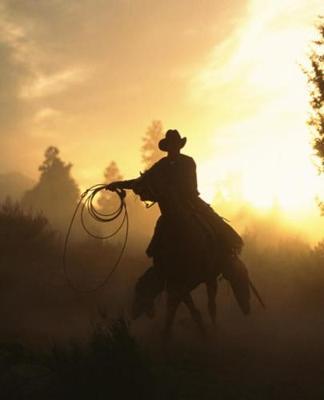 Horse Photo School Composition Book Equine Cowboy Lasso Sunset: Horse Photo Equine Covers Composition Books Notebooks (Notebook, Diary, Blank Book)