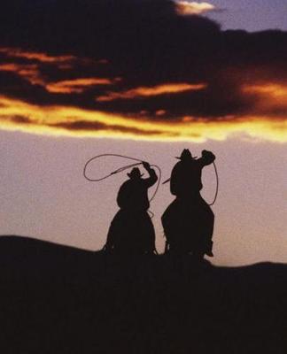 Horse Photo School Composition Book Equine Cowboy Team Lassoes: Horse Photo Equine Covers Composition Books Notebooks (Notebook, Diary, Blank Book)