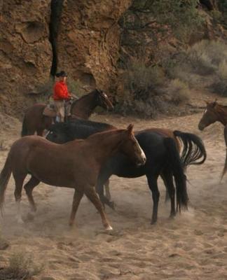 Horse Photo School Composition Book Equine Cowboy Horseback: Horse Photo Equine Covers Composition Books Notebooks (Notebook, Diary, Blank Book)