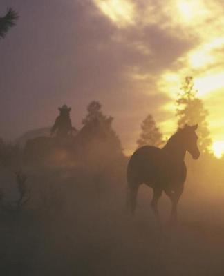 Horse Photo School Composition Book Equine Herding Horses in Sunset: Horse Photo Equine Covers Composition Books Notebooks (Notebook, Diary, Blank Book)