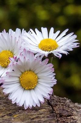 Sweet Marguerite (Daisy) Flowers Journal: 150 Page Lined Notebook/Diary