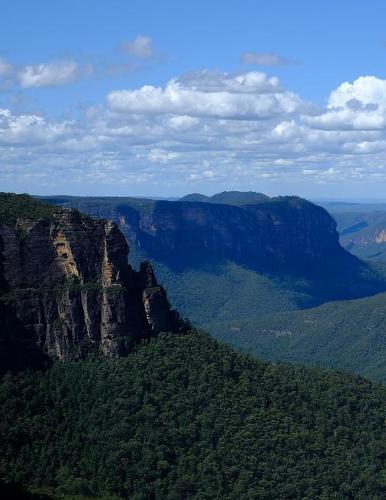 Notebook: Blue Mountains National Park New South Wales Australia 8.5  x 11  150 Ruled Pages