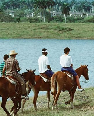 Horse Photo School Composition Book Equine Tropical Trail Ride: Horse Photo Equine Covers Composition Books Notebooks (Notebook, Diary, Blank Book)