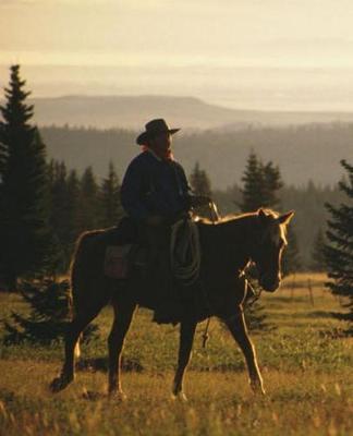 Horse Photo School Composition Book Equine Western Horse Under Saddle: Horse Photo Equine Covers Composition Books Notebooks (Notebook, Diary, Blank Book)