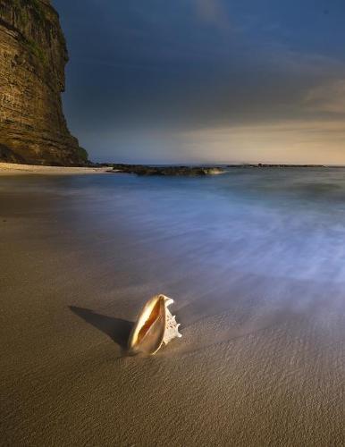 Notebook: Beach Peace Relaxation Yoga Master Tranquility Massage 8.5  x 11  150 Ruled Pages