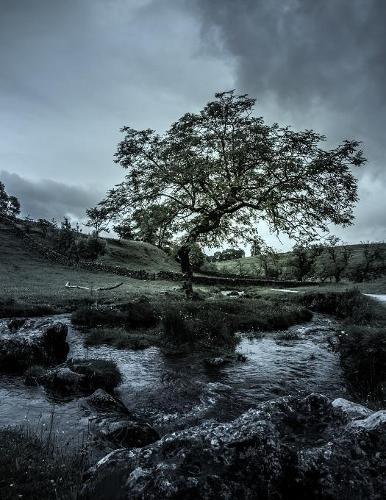 Notebook: Grey Mood Moody Moods Emotions Emotional 8.5  x 11  150 Ruled Pages