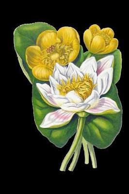 Floral Journal: 120 Page Notebook for women to write in with a beautiful floral theme