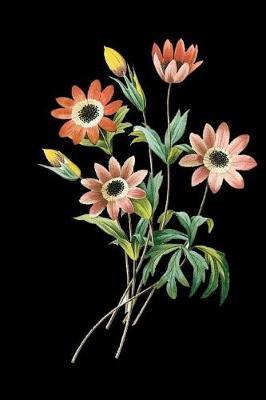 Floral Journal: 120 Page Notebook for women to write in with a beautiful floral theme