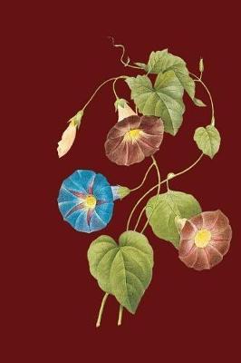 Floral Journal: 120 Page Notebook for women to write in with a beautiful floral theme