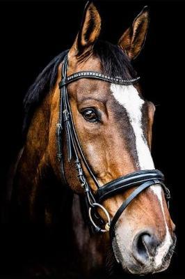 Horse: Cute Journal / Notebook / Notepad / Diary, Gifts For Horse Lovers