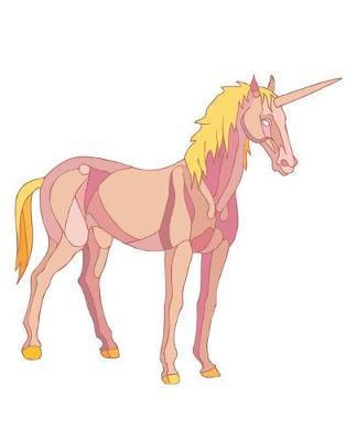 Horse Illustration School Composition Book Equine Golden Unicorn: Horse Picture Equine Covers Composition Books Notebooks (Notebook, Diary, Blank Book)