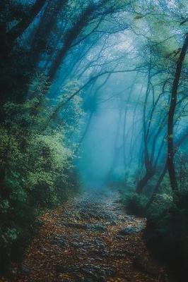 Into the Woods on a Magical Misty Morning: 150 Page Lined Notebook/Diary
