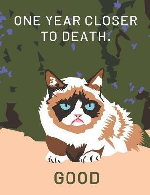 Weekly Planner: One Year Closer To Death. Good! - Funny Kitten Meme - Day Planning For New Year: Calendar Year Planning Notebook With Space for Each Days Victories, Priorities & Notes - Grumpy Cat Cover Art
