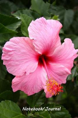 Notebook/Journal: Pink Hibiscus #1 - Colorful and Inspirational Notebook/Journal - 128 lined pages in a 6x9 inch Softcover Notebook