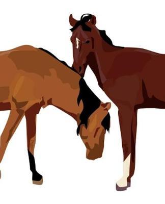 Horse Illustration School Composition Book Equine Two Horses: Horse Picture Equine Covers Composition Books Notebooks (Notebook, Diary, Blank Book)