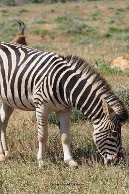 Zebre Carnet de notes: Journal ligne de 119 pages- Une belle idee de cadeau pour les amoureux des animaux