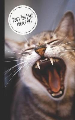 Don't You Dare Forget Me!: Discreet Internet Password Keeper Store Websites, Usernames, Passwords Funny Gift Kitten/Cat Lovers