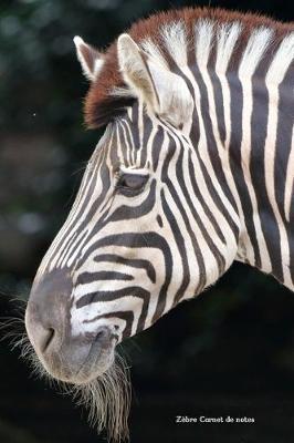 Zebre Carnet de notes: Journal ligne de 119 pages- Une belle idee de cadeau pour les amoureux des animaux