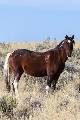 Mustang: Wild Horse Journal: 150 Page Lined Notebook/Diary