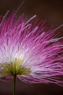 Pink Blossom Illuminated Journal: 150 Page Lined Notebook/Diary
