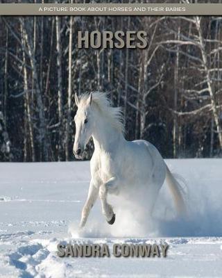 Horses: A Picture Book about Horses and Their Babies