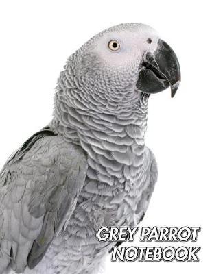 Grey Parrot Notebook: Congo Grey Parrot - African Grey Parrot - Composition Book 150 pages 8.5 x 11 in. - College Ruled - Writing Notebook - Lined Paper - Soft Cover - Plain Journal