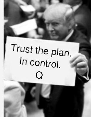 Trust the plan. In control. Q: KAG MAGA 8.5 x 11 Make America Great Again Notebook Q anon Journal Planner Doodling Scrapbook DJT POTUS patriot paper pad support Red Republican - God Bless America