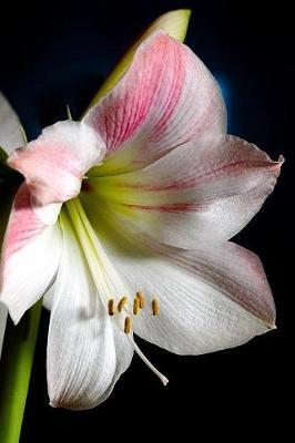 The Amaryllis Garden Journal: A Gardening Diary for Avid Gardeners
