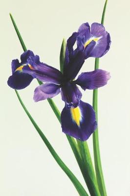 The Iris Journal: For Flower Lovers and Women Named Iris
