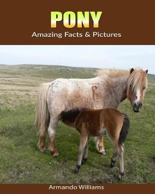 Pony: Amazing Facts & Pictures