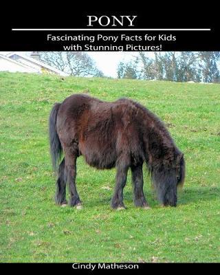 Pony: Fascinating Pony Facts for Kids with Stunning Pictures!