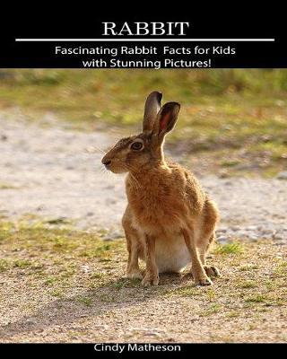 Rabbit: Fascinating Rabbit Facts for Kids with Stunning Pictures!