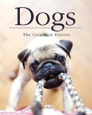 Dogs, The Cute Best Friends: Beautiful dog photography that you will love them more