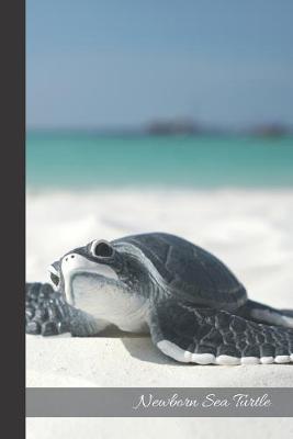 Newborn Sea Turtle: small lined Sea Turtle Notebook / Travel Journal to write in (6'' x 9'') 120 pages