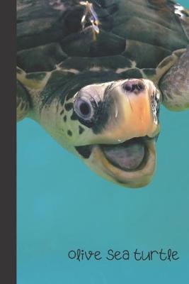 Olive sea turtle: small lined Sea Turtle Notebook / Travel Journal to write in (6'' x 9'') 120 pages