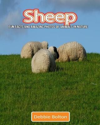 Sheep: Fun Facts and Amazing Photos of Animals in Nature