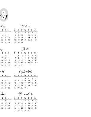 I Just Want to Drink Wine & Pet My Maine Coon: 2020 Maine Coon Cat Planner for Organizing Your Life