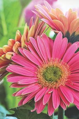 Pink Daisy Floral Journal: A Daily Diary for Her