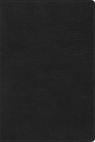 RVR 1960 Biblia de Estudio Arco Iris, negro imitación piel c