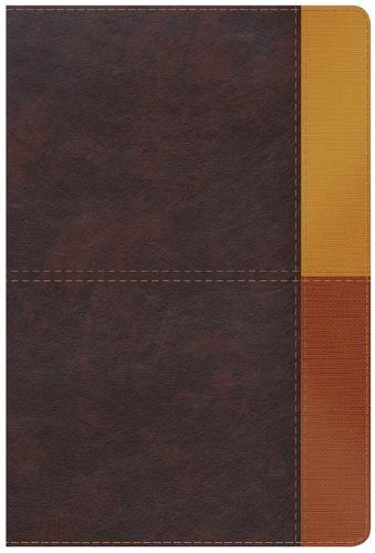 RVR 1960 Biblia de Estudio Arcoiris, gris pizarra/oliva sími